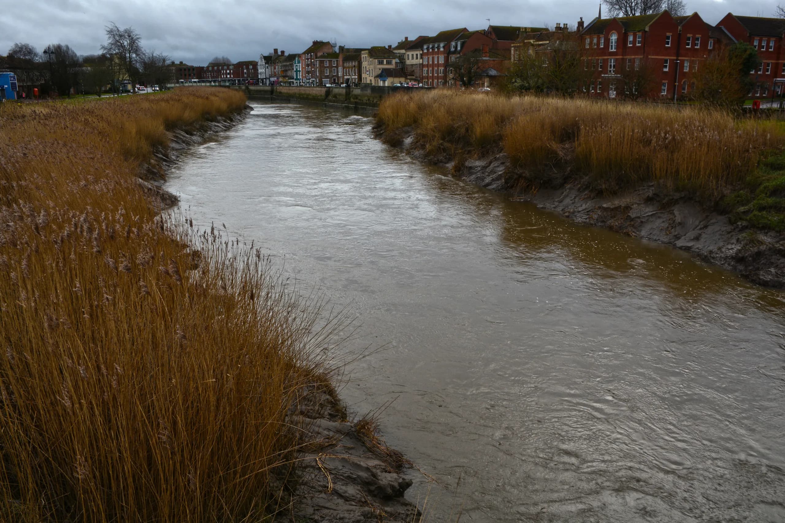 The River Parrett winding through Bridgwater, with the town beyond