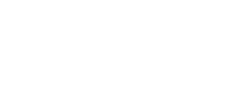 Somerset Council